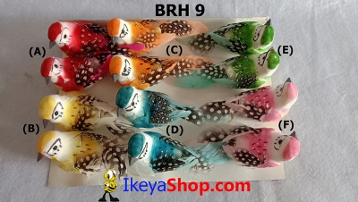 large2 BRH 9 b